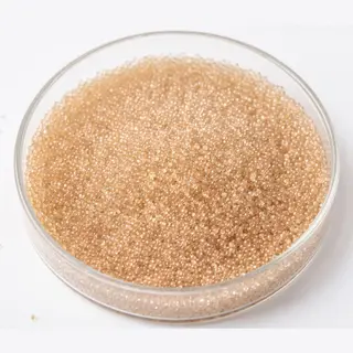 Gel Strong Base Anion (SBA) resin beads in a laboratory petri dish
