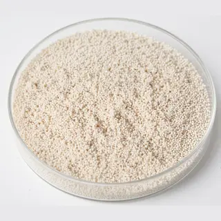Macroporous Strong Base Anion resin beads in a laboratory petri dish