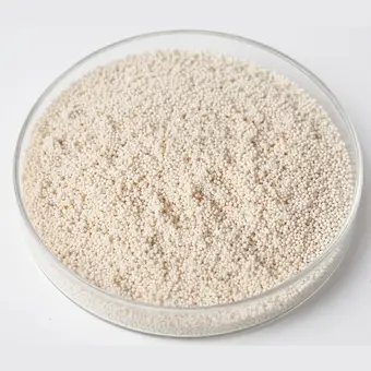 Macroporous Strong Base Anion resin beads in a laboratory petri dish