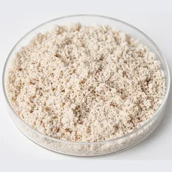 Macroporous Weak Base Anion resin beads in a laboratory petri dish