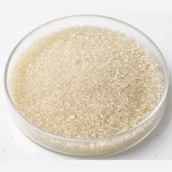 Macroporous Adsorption Resins resin beads in a laboratory petri dish